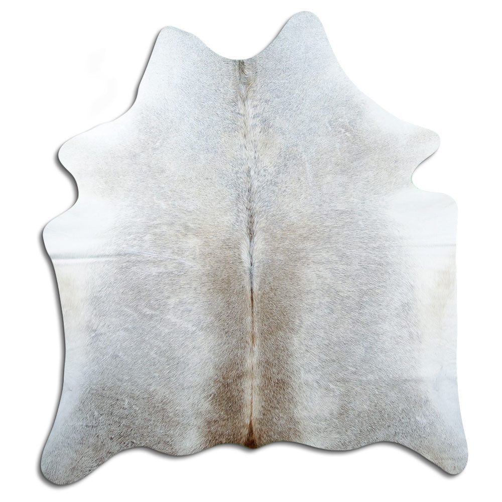 Tan grey koeienhuid, ongeveer 170 × 160 cm, van bovenaf gezien: precies de huid die je ontvangt