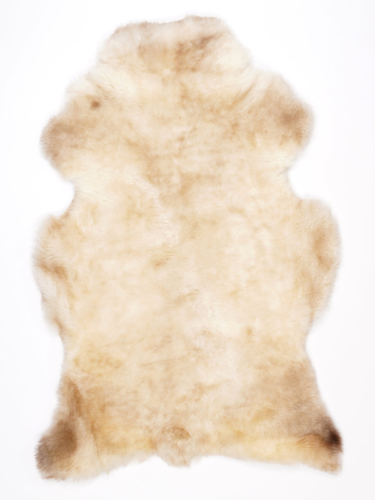NG00029