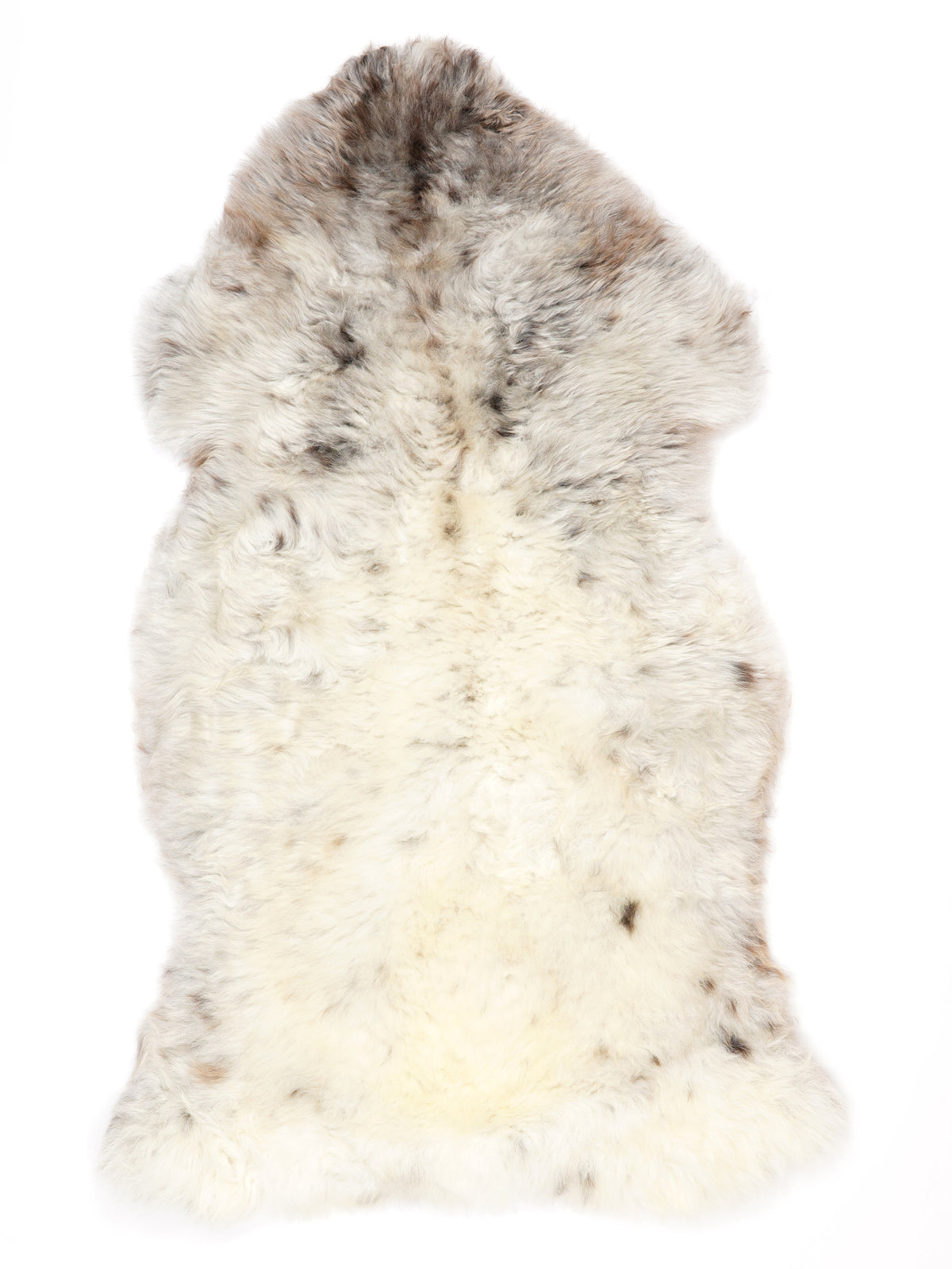 NC00094