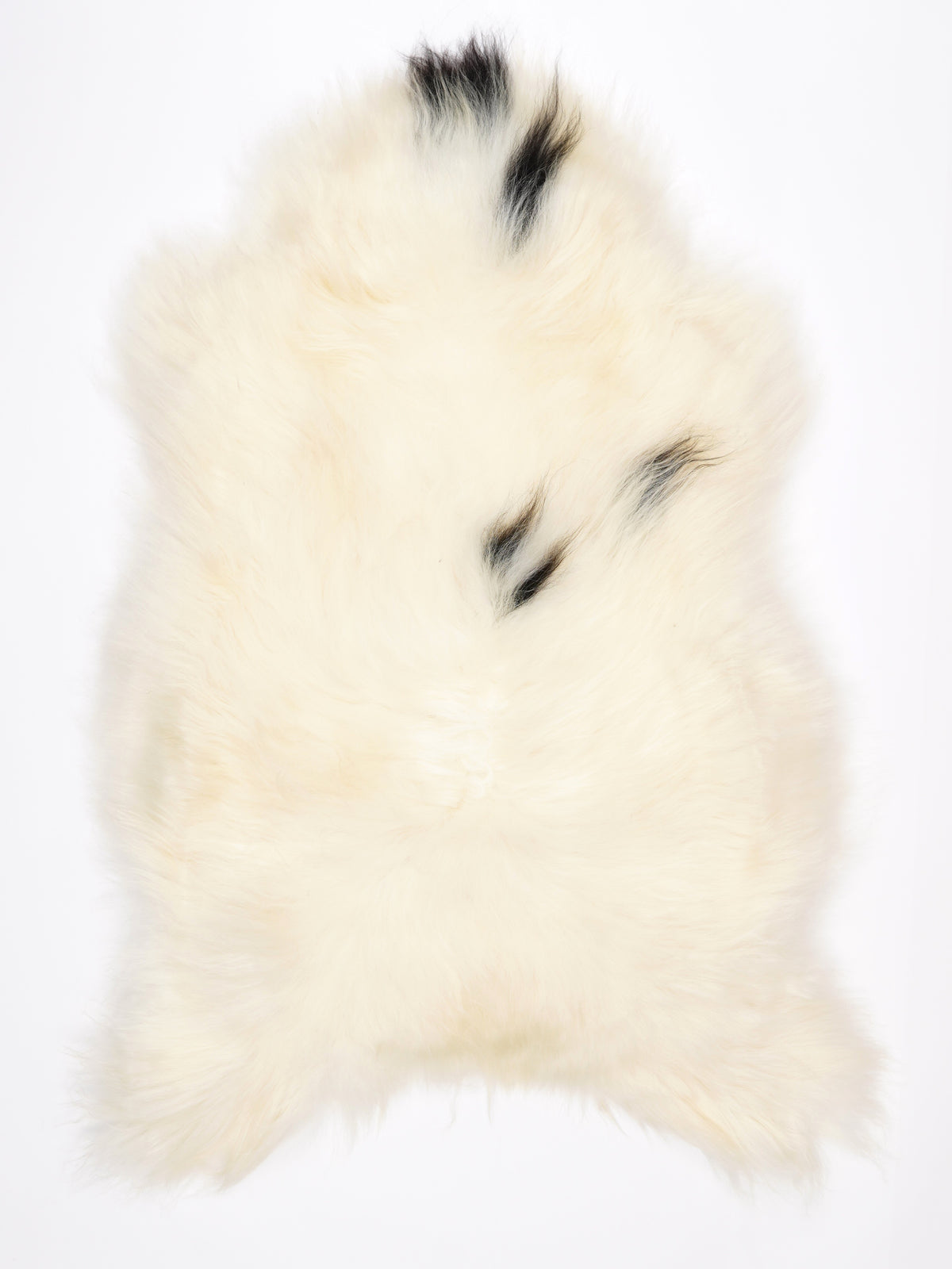 MW00084