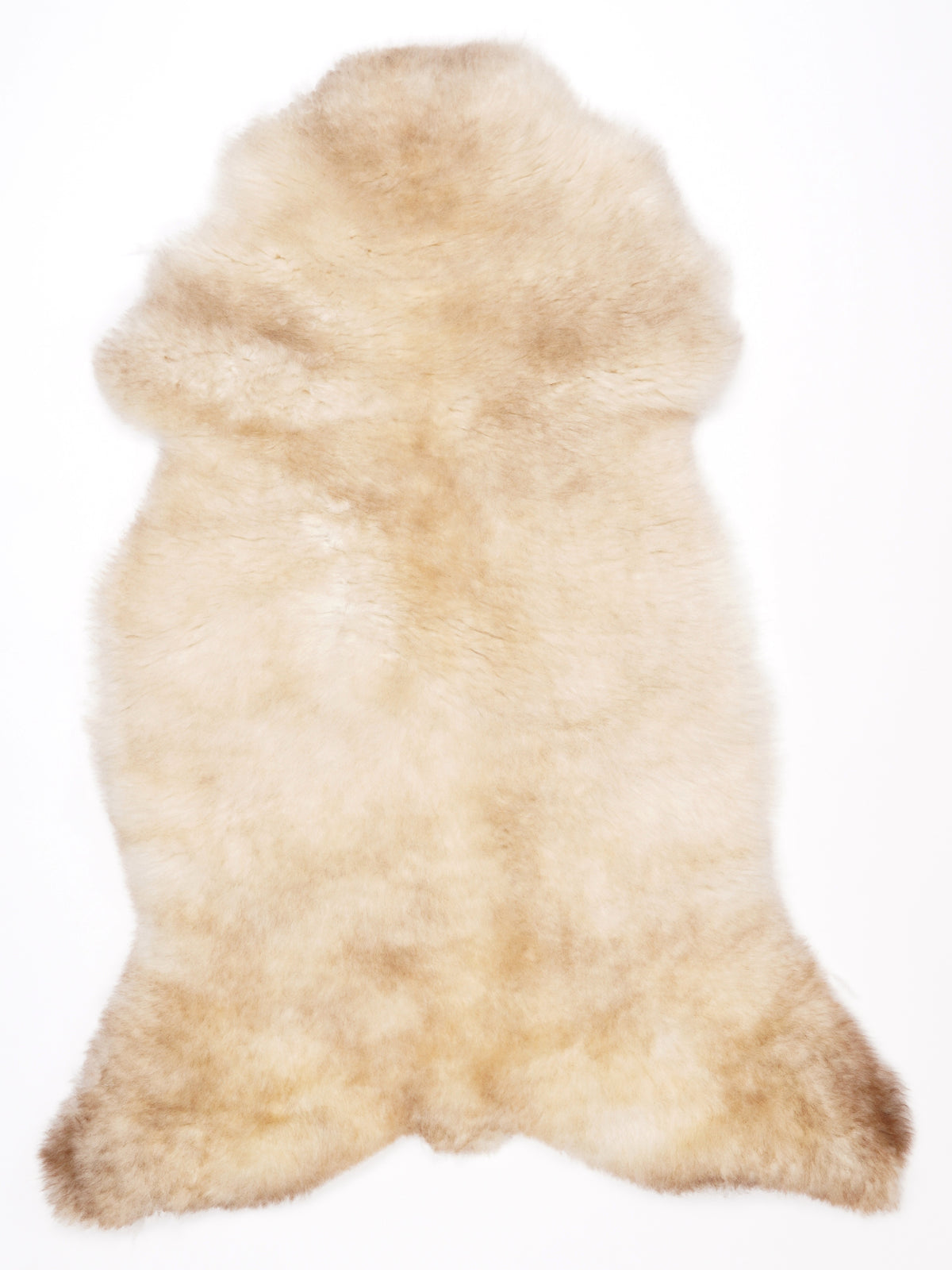 NG00015