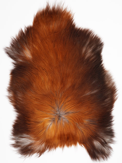 Ijslandse Schapenvacht XL