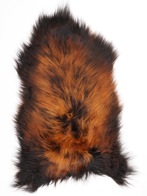 Ijslandse Schapenvacht XL