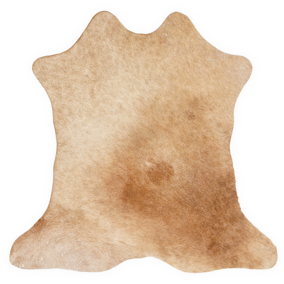 Mini koeienhuid, ongeveer 70 × 70 cm, van bovenaf gezien: precies de huid die je ontvangt