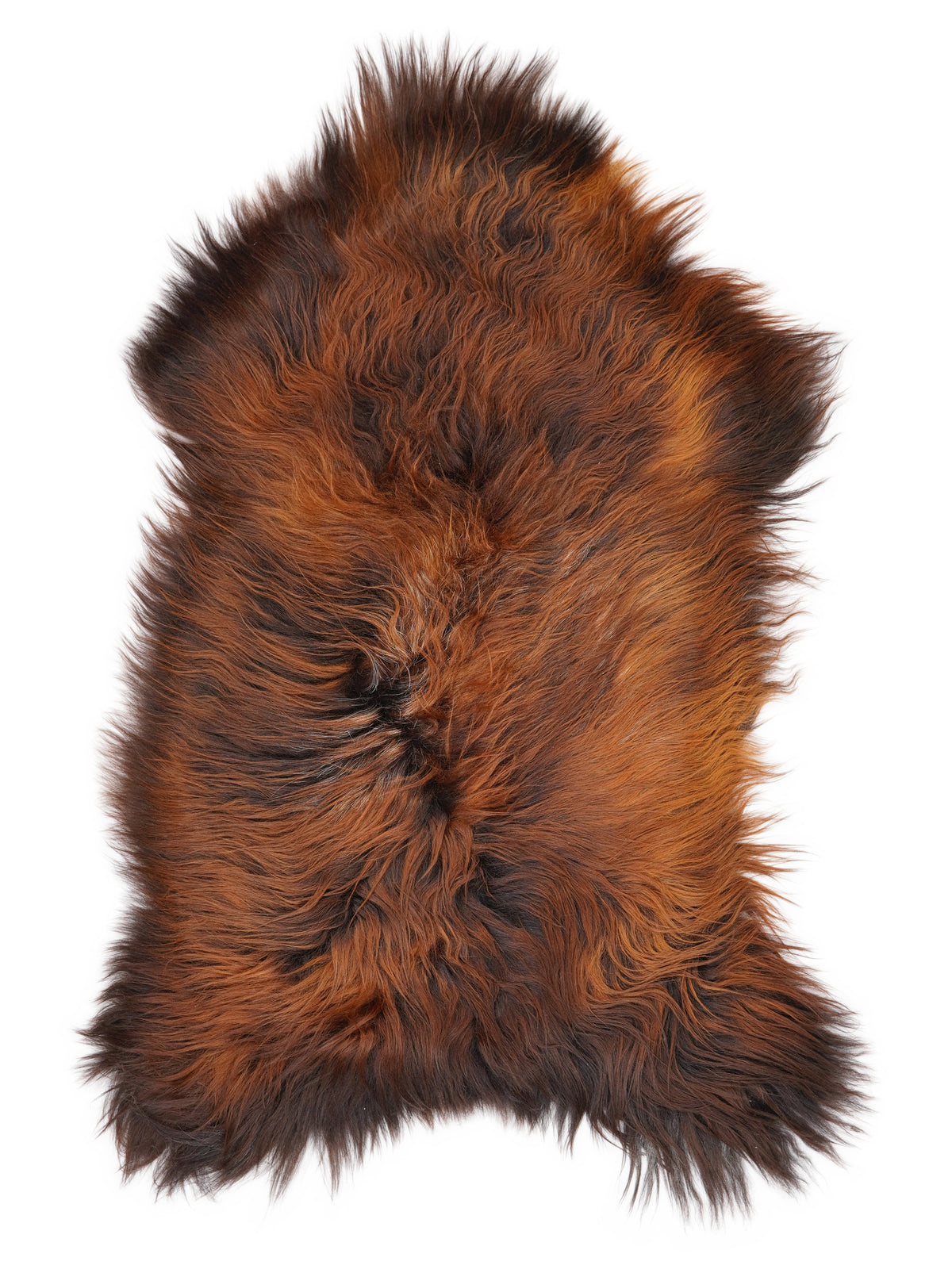 IJslandse meerkleurige schapenvacht, ongeveer 120 × 65 cm, van bovenaf gezien: precies de vacht die je ontvangt