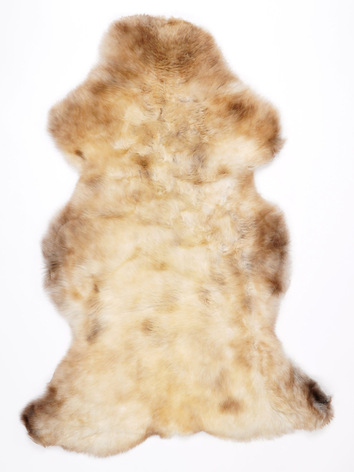 NA00019