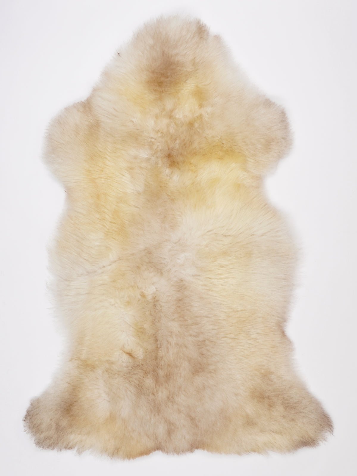 NR00081
