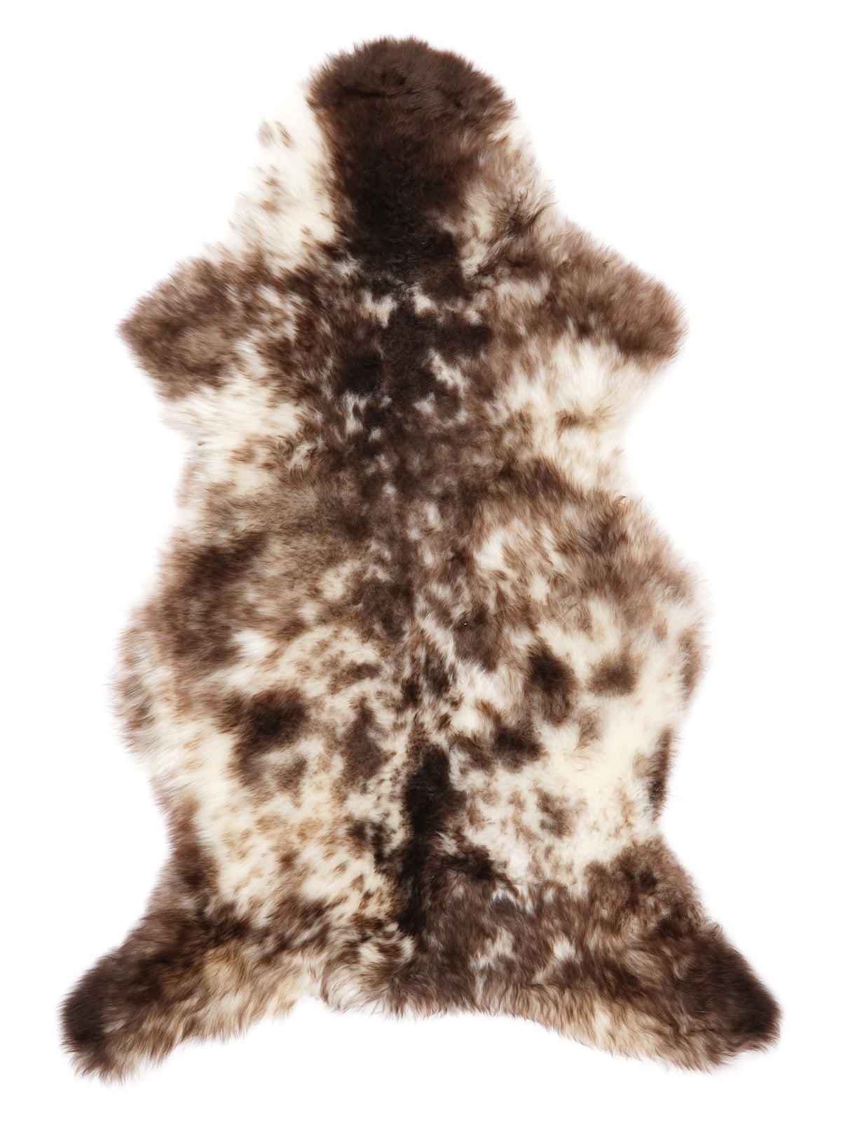 NR00004