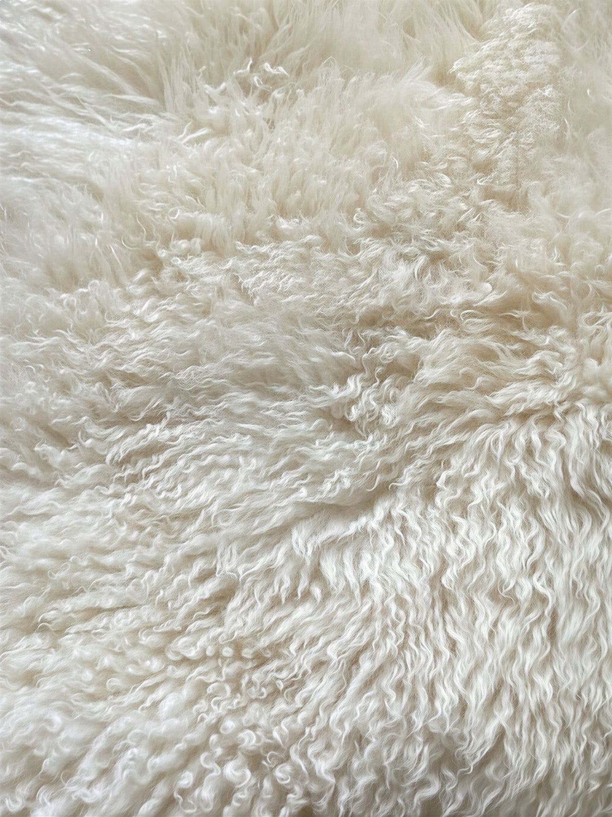 Witte Schapenvacht Gekruld