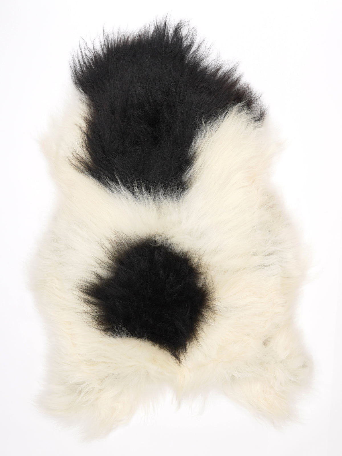 MJ00086