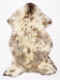 NR00014