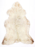 MV00014