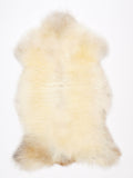 NR00090