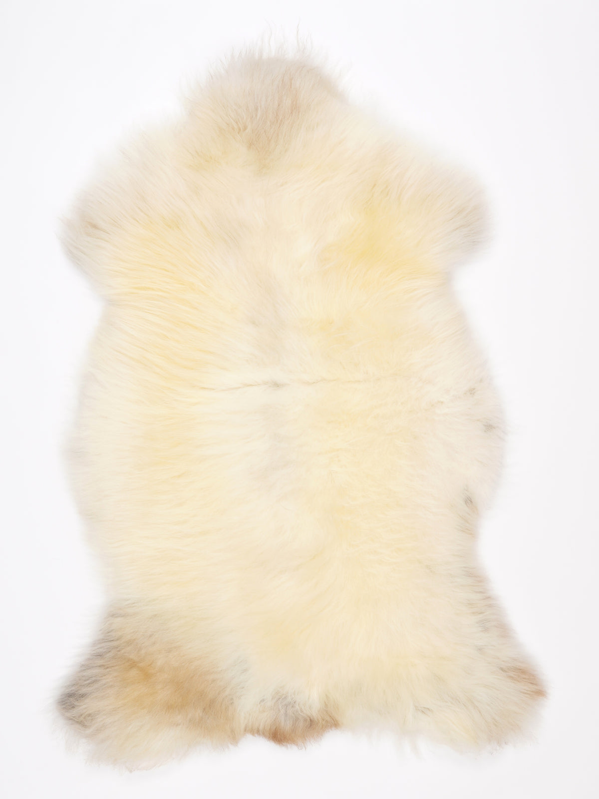 NR00090