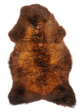 NE00049