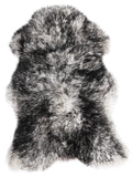 NH00055
