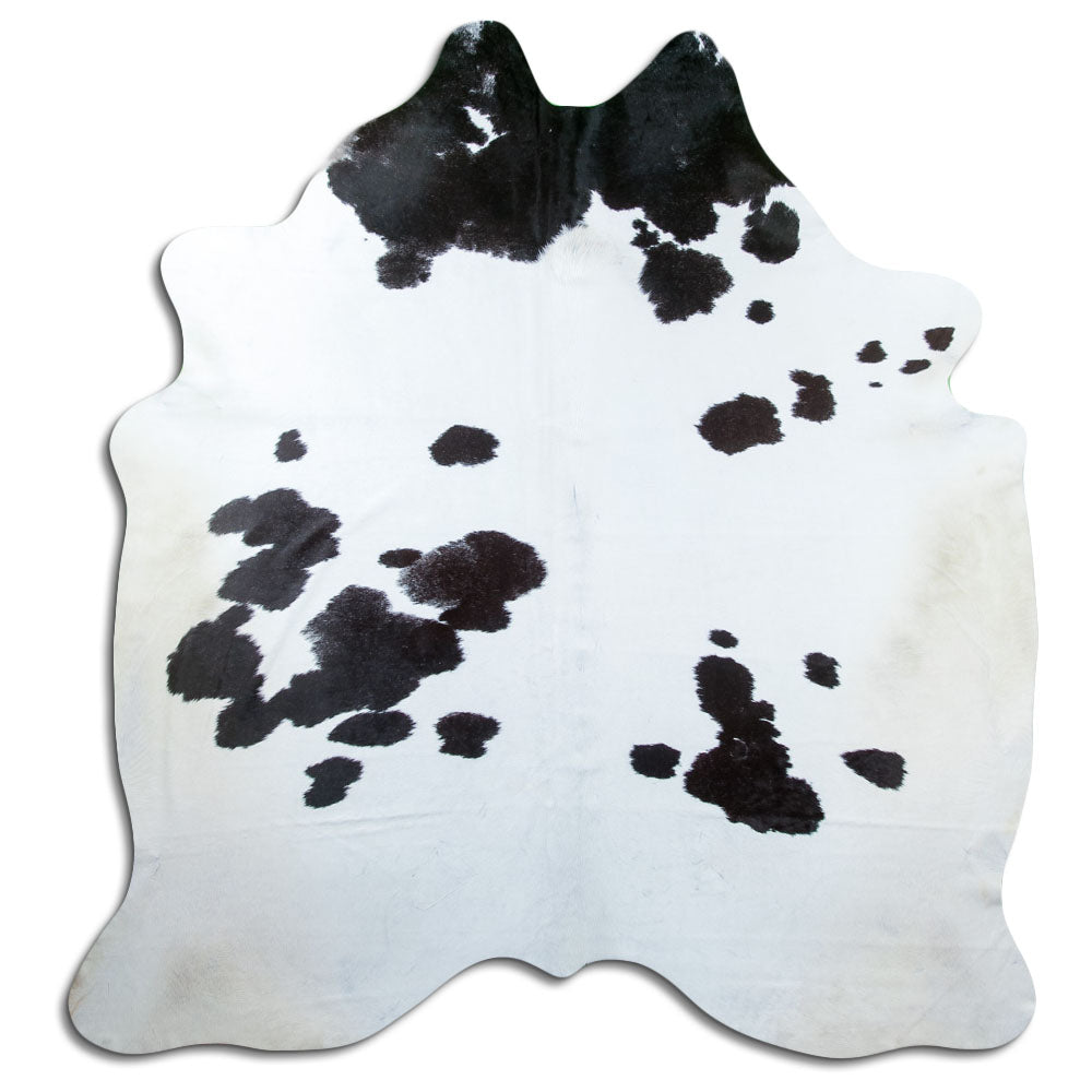 Zwart-witte koeienhuid, ongeveer 220 × 210 cm, van bovenaf gezien: precies de huid die je ontvangt