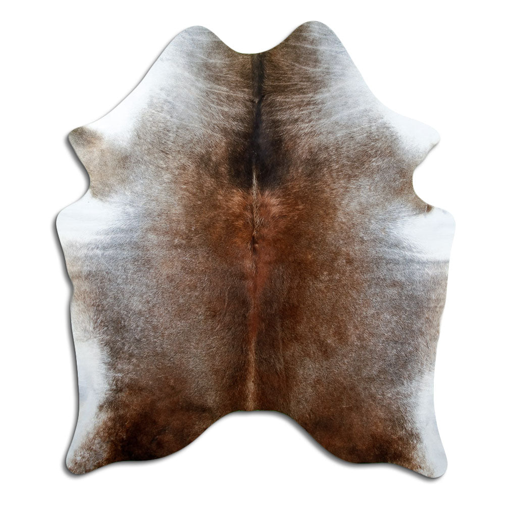 Tan grey koeienhuid, ongeveer 170 × 140 cm, van bovenaf gezien: precies de huid die je ontvangt