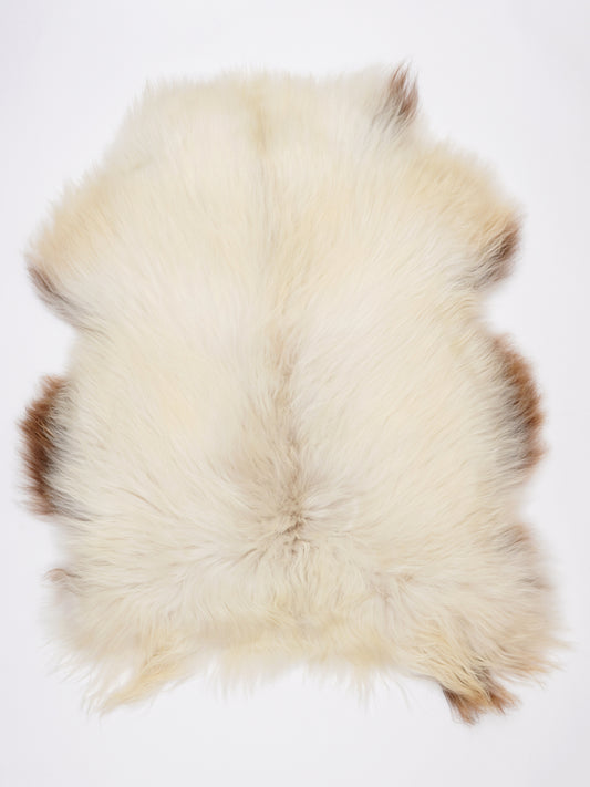 NV00021