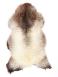 NK00011