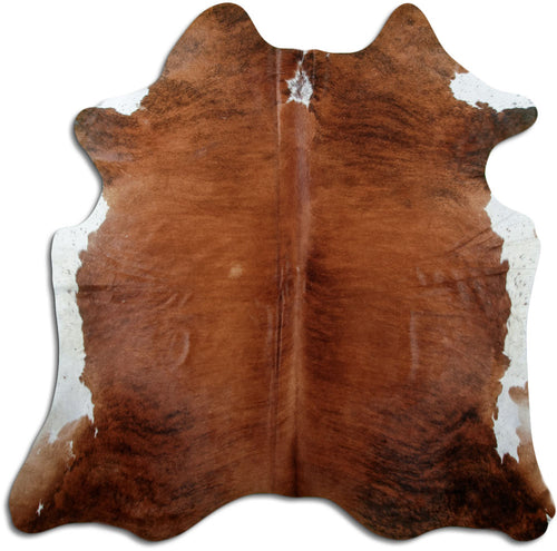 Exotische Koeienhuid XL