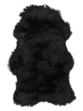 NC00047