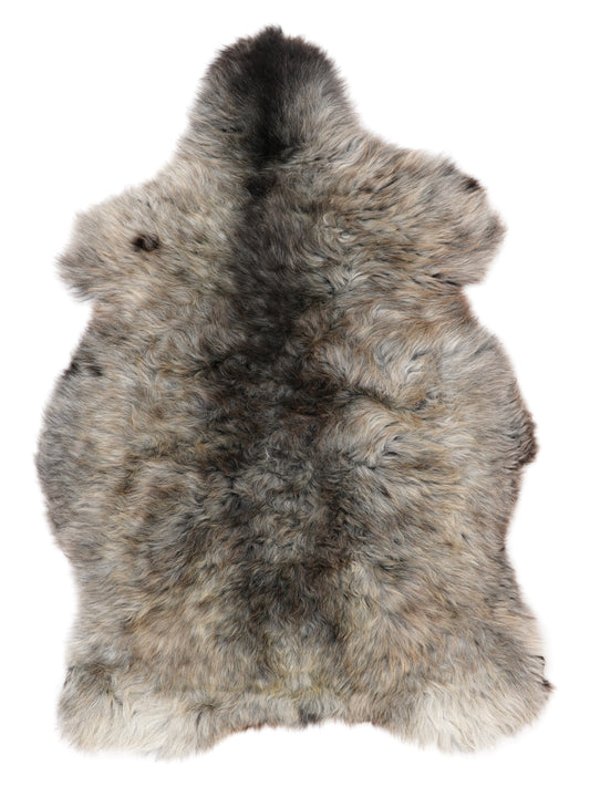 NC00038