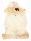 NR00092
