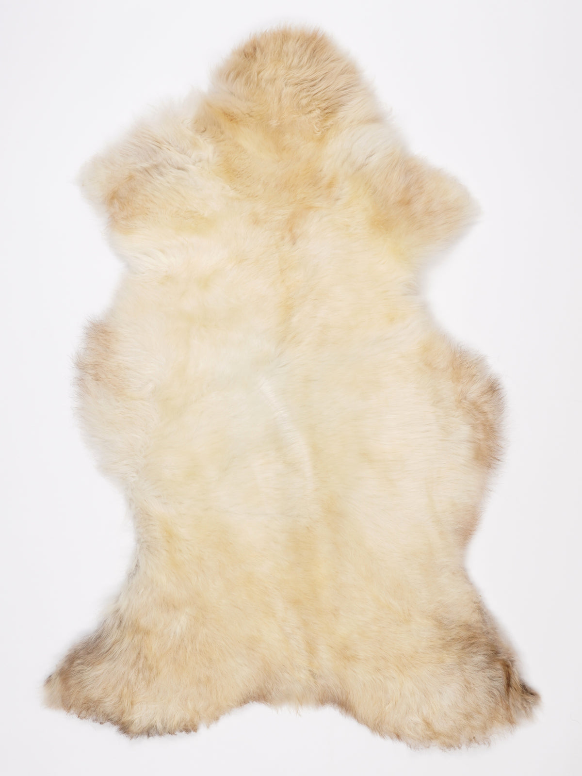 NS00084