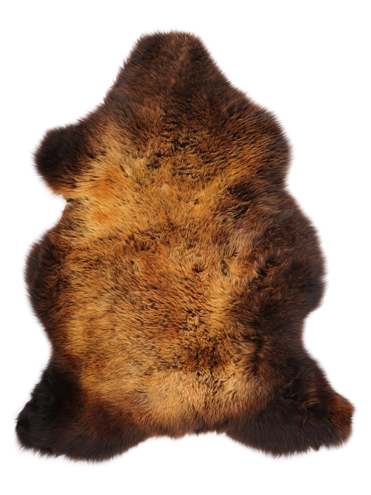 MQ00081