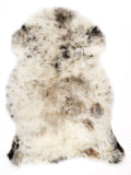 ND00038
