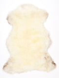 NG00012