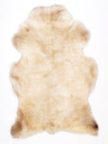NG00029