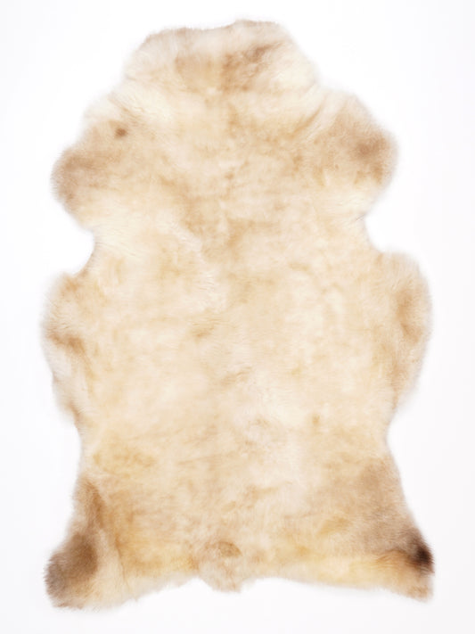 NG00029