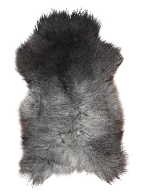NC00033