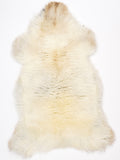 NC00063