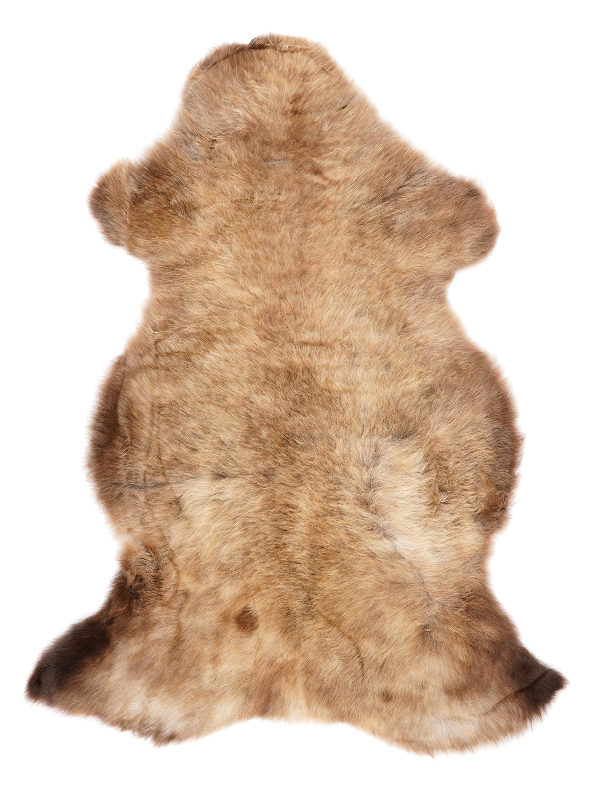 NR00059
