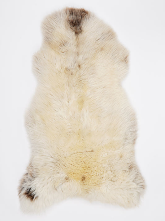 OL00002