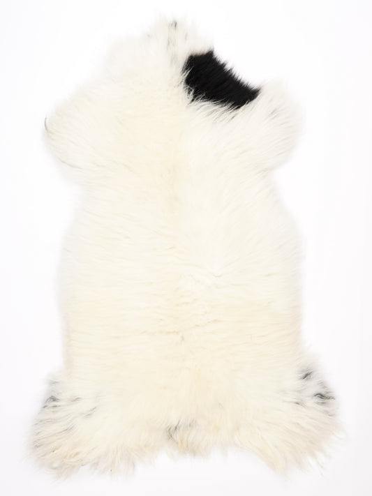 MM00006