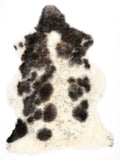 NC00097