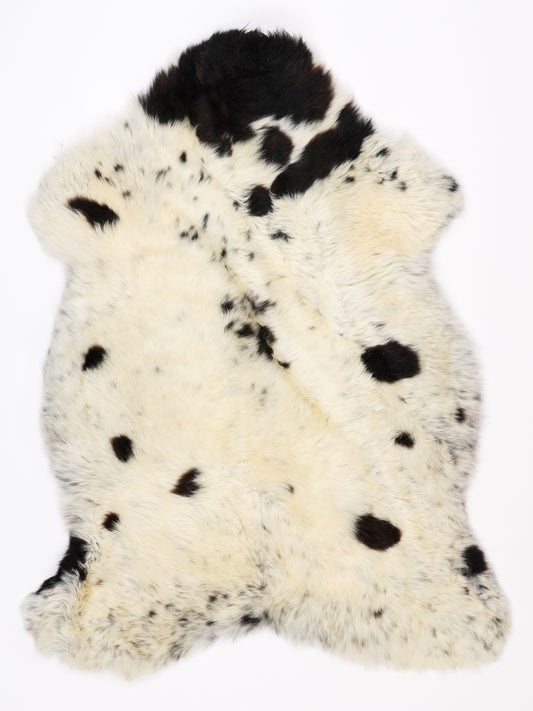 NR00087