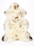 ND00026