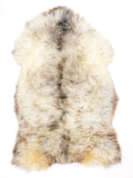 NC00089