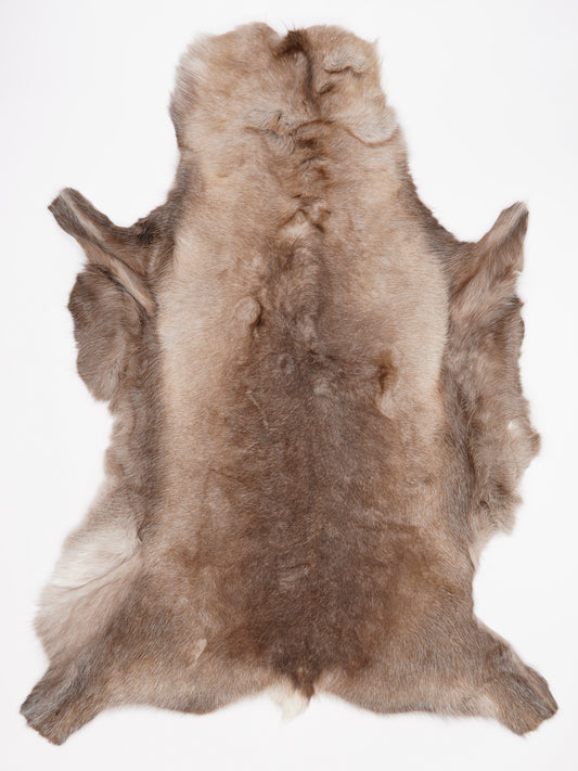 OX00021