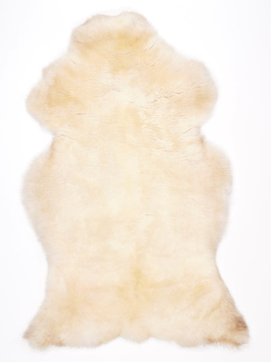 NG00028