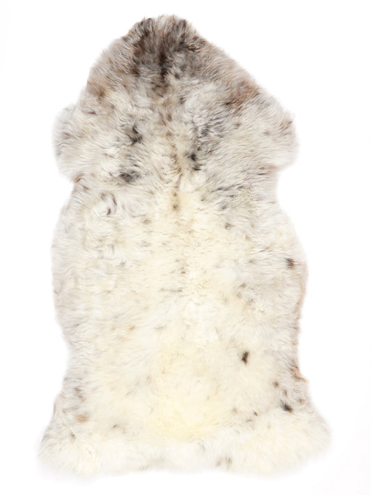 NC00094