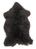 MN00034