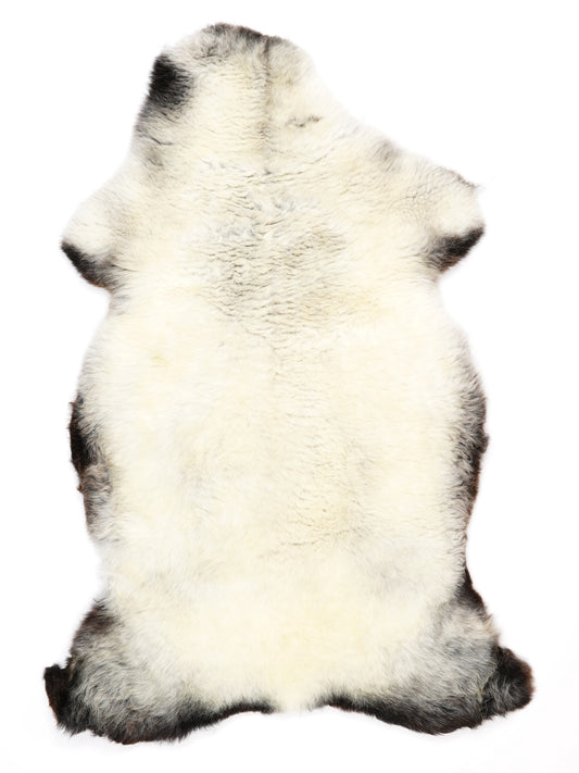 NC00100
