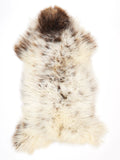 NC00093