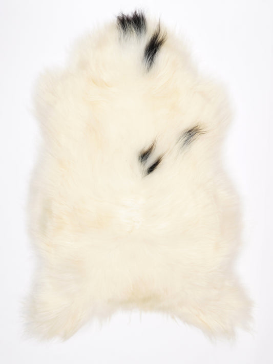 MW00084